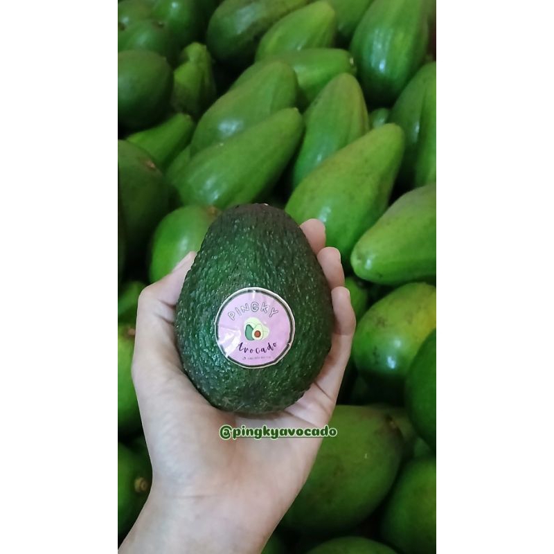 

Alpukat Hass berat 1kg