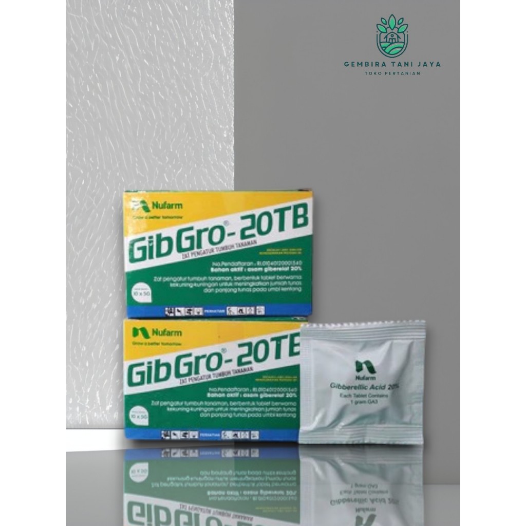 GIBGRO 20TB