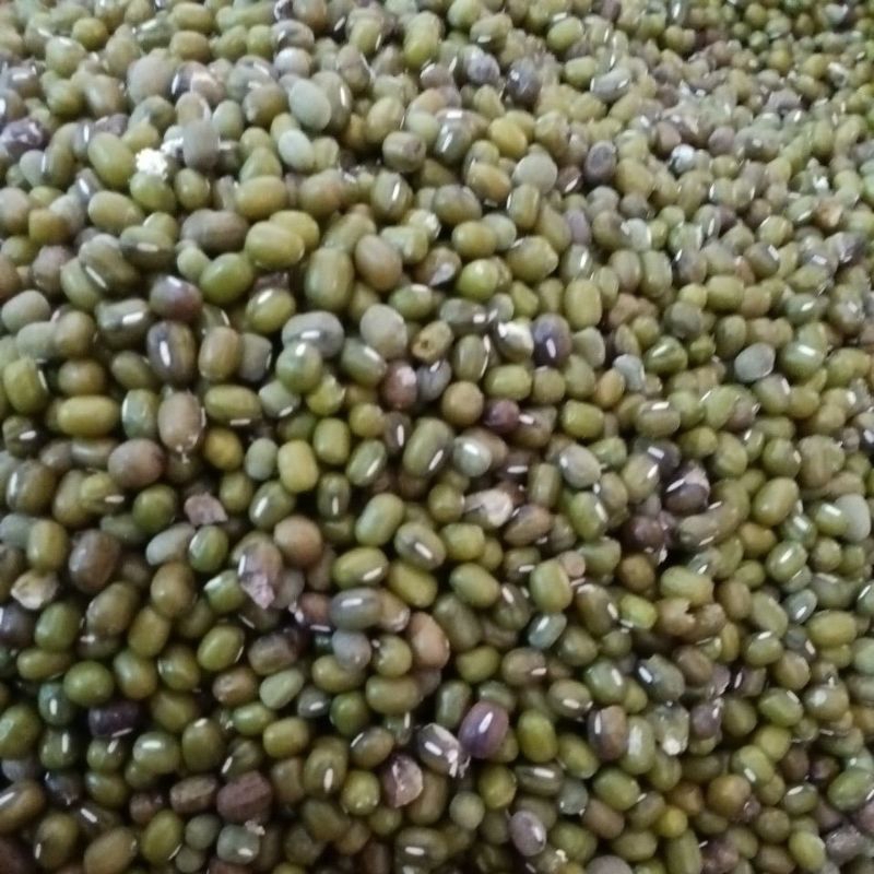 

Kacang Ijo 100gr
