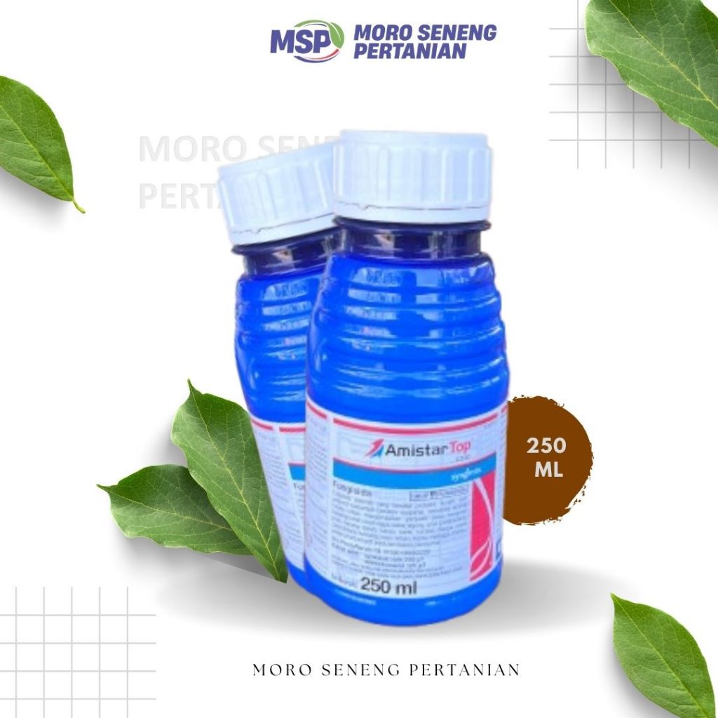 AMISTARTOP 250 ML (FUNGISIDA SISTEMIK)