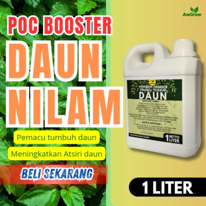 PELEBAT DAUN NILAM Pupuk Daun Nilam Pupuk Pertumbuhan Nilam 1 Liter Pupuk Khusus Tanaman Daun Nilam.
