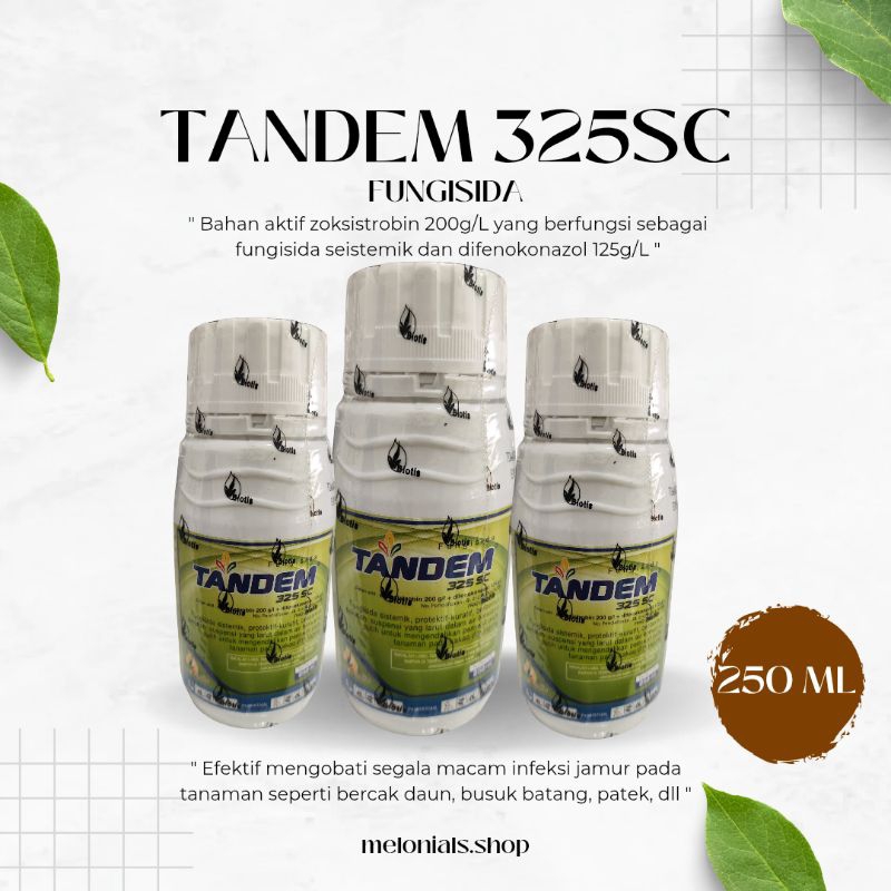 FUNGISIDA TANDEM 250 ML