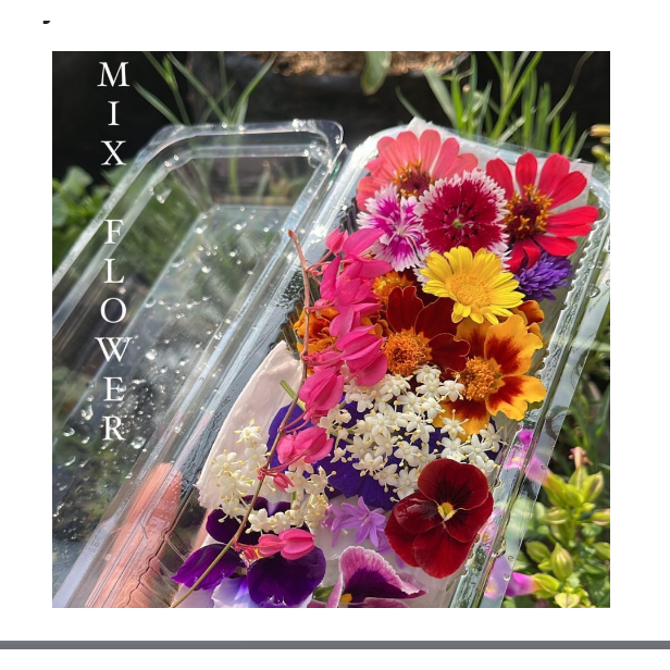 

rickydarman00 - Edible flower by mich