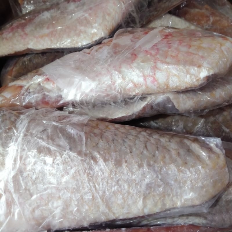 FILLET KAKAP MERAH  JUMBO