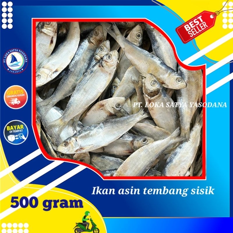 

ikan asin tembang sisik kaca 500gram