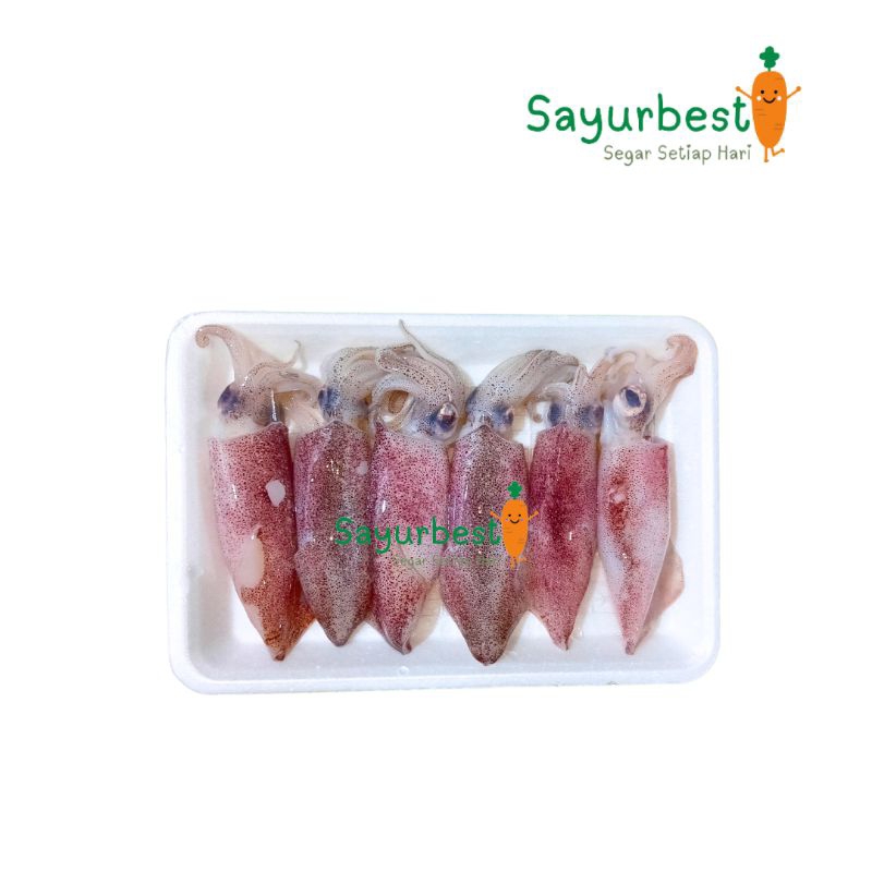 

(PO KIRIM BESOK) Cumi Basah 250gram