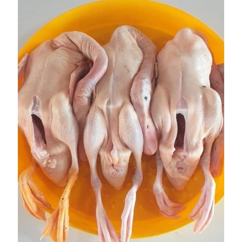 

bebek peking 1.0kg