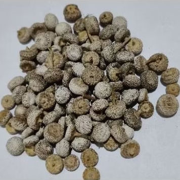 

Gu Jing Zi/ 谷精子/ 100gr