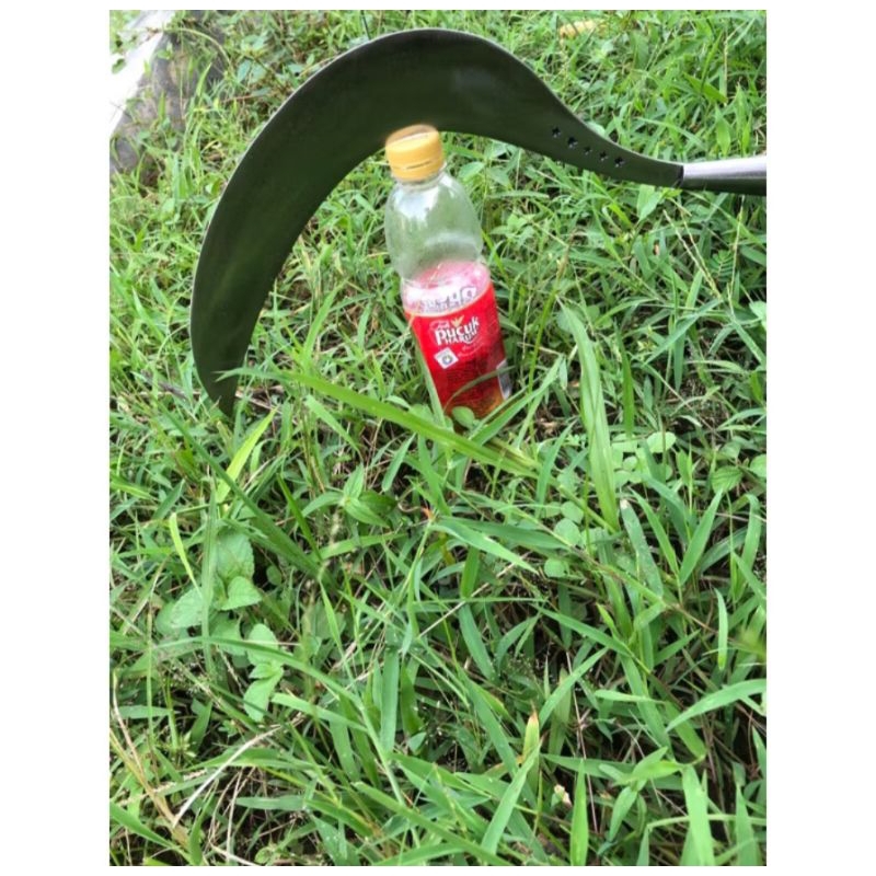 

teh pucuk madura⭐⭐⭐⭐⭐