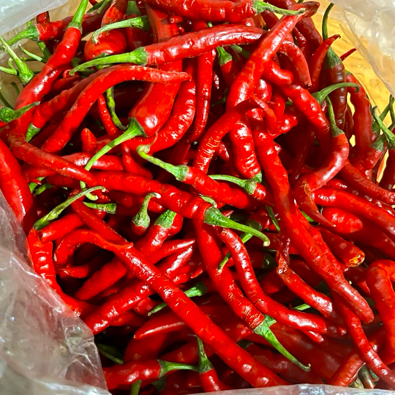 

Cabe / Cabai Merah 500 gram