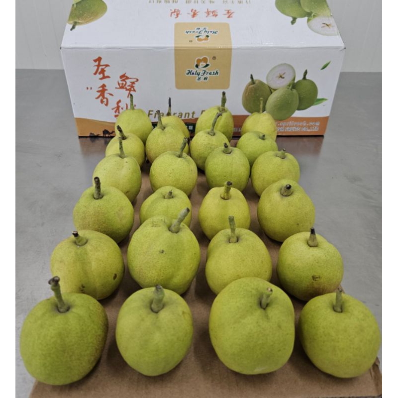 

1 KG PIR XIANGLI FRESH MANIS JUAL PIR XIANGLI MALANG MURAH GRATIS ONGKIR