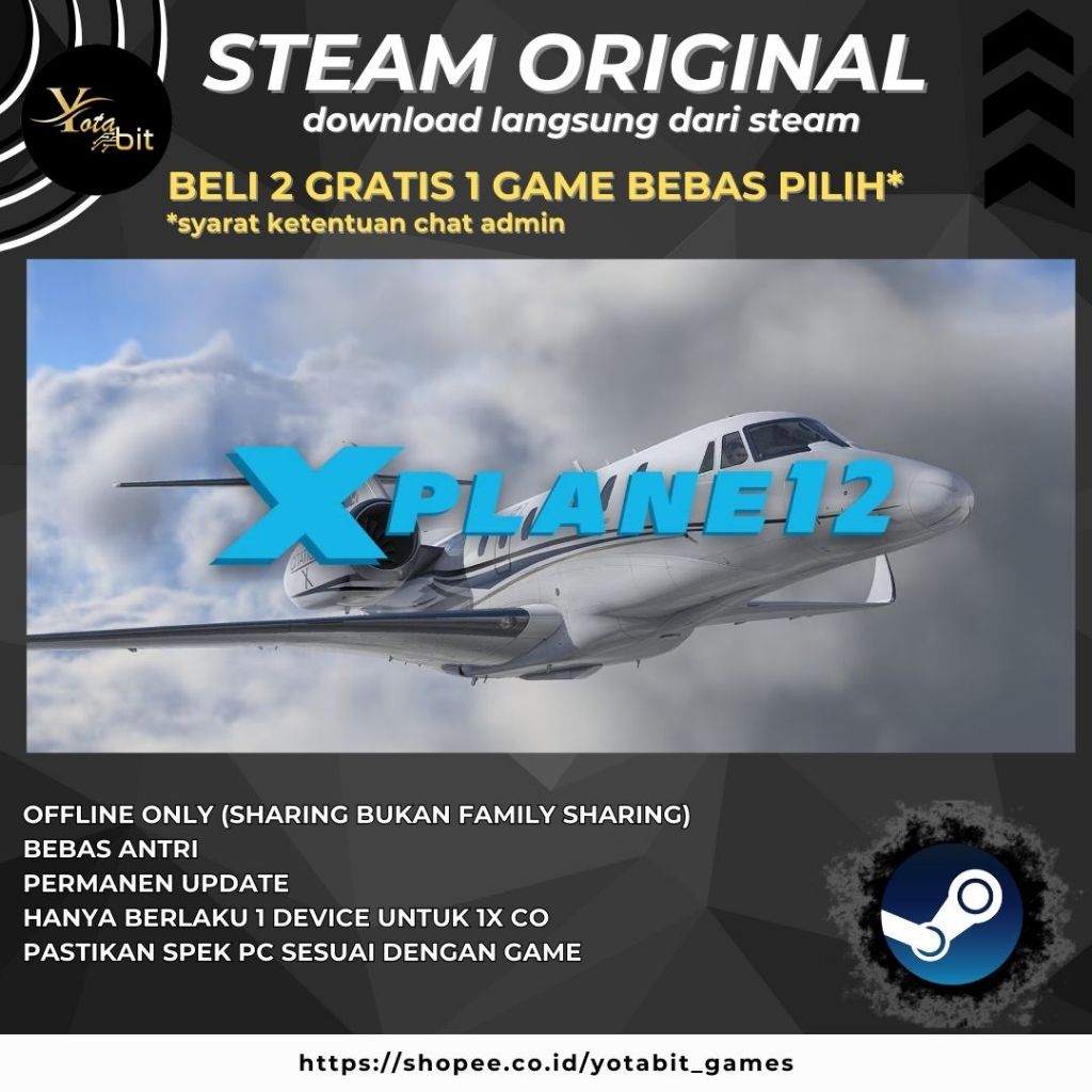 X-PLANE 12 MAC & PC Game Sharing Original Offline