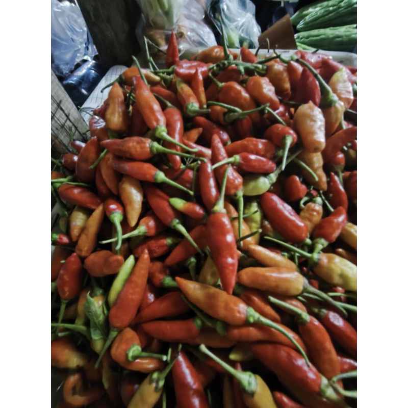 

cabai/cabe rawit merah berat 250grm