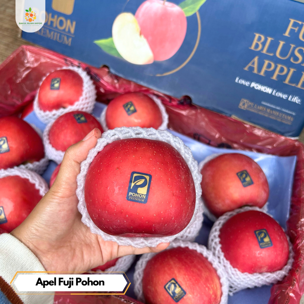 

Apel Fuji Pohon [ @500gram ]