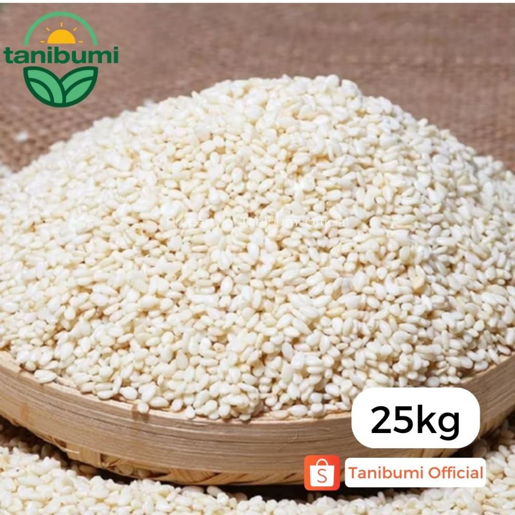 

25Kg | Termurah Biji Wijen Putih | White Sesame Seed | Import Super Premium Quality