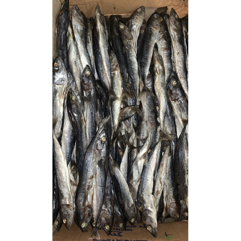 

Ikan asin tongkol 1kg