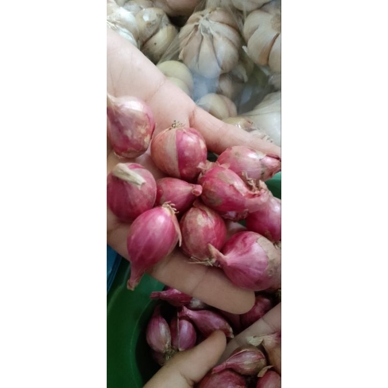 

Brambang Probolinggo Tanggung mix Bsr 1KG