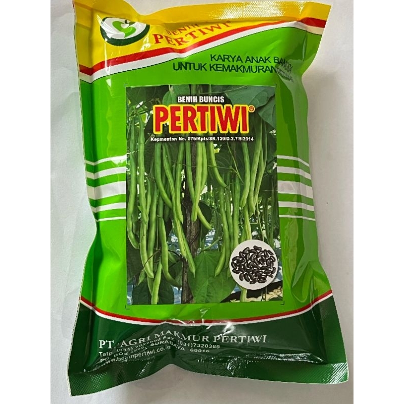 benih buncis pertiwi