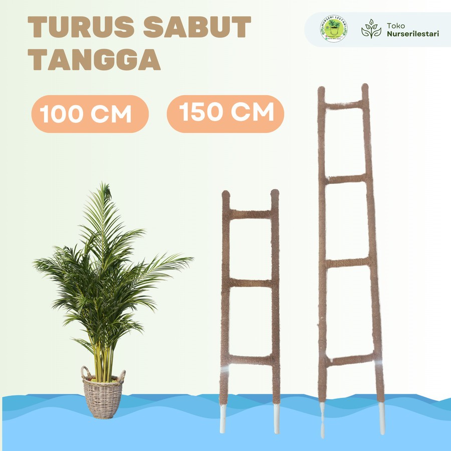 Turus Sabut kelapa Penyangga Tiang Tanaman Model Tangga