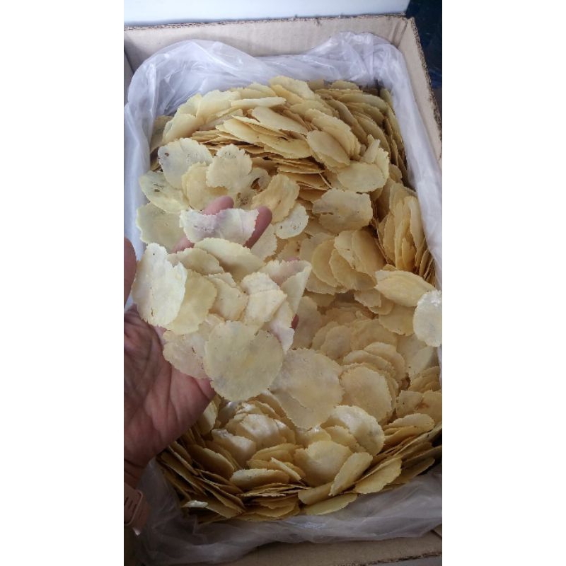 

melinjo mentah 250 gr