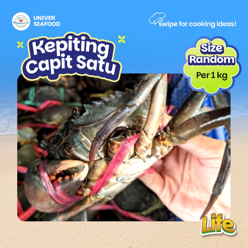 

Kepiting Hidup Japit Satu All Size/kg