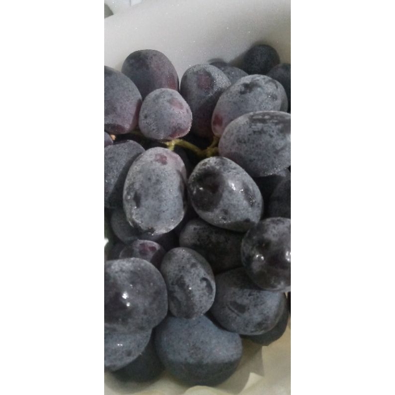 

Anggur Black Autumn RRC 500g /Manis Ada Biji