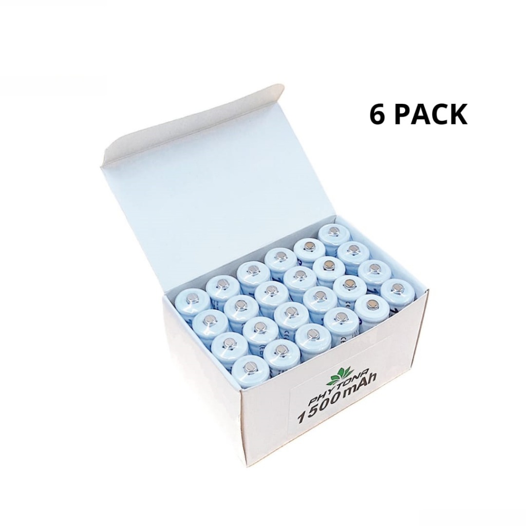 Beaded Bloom Double Great Baterai Cas Aa Original Phytona 1500Mah 1.2Volt Rechargeable Sni