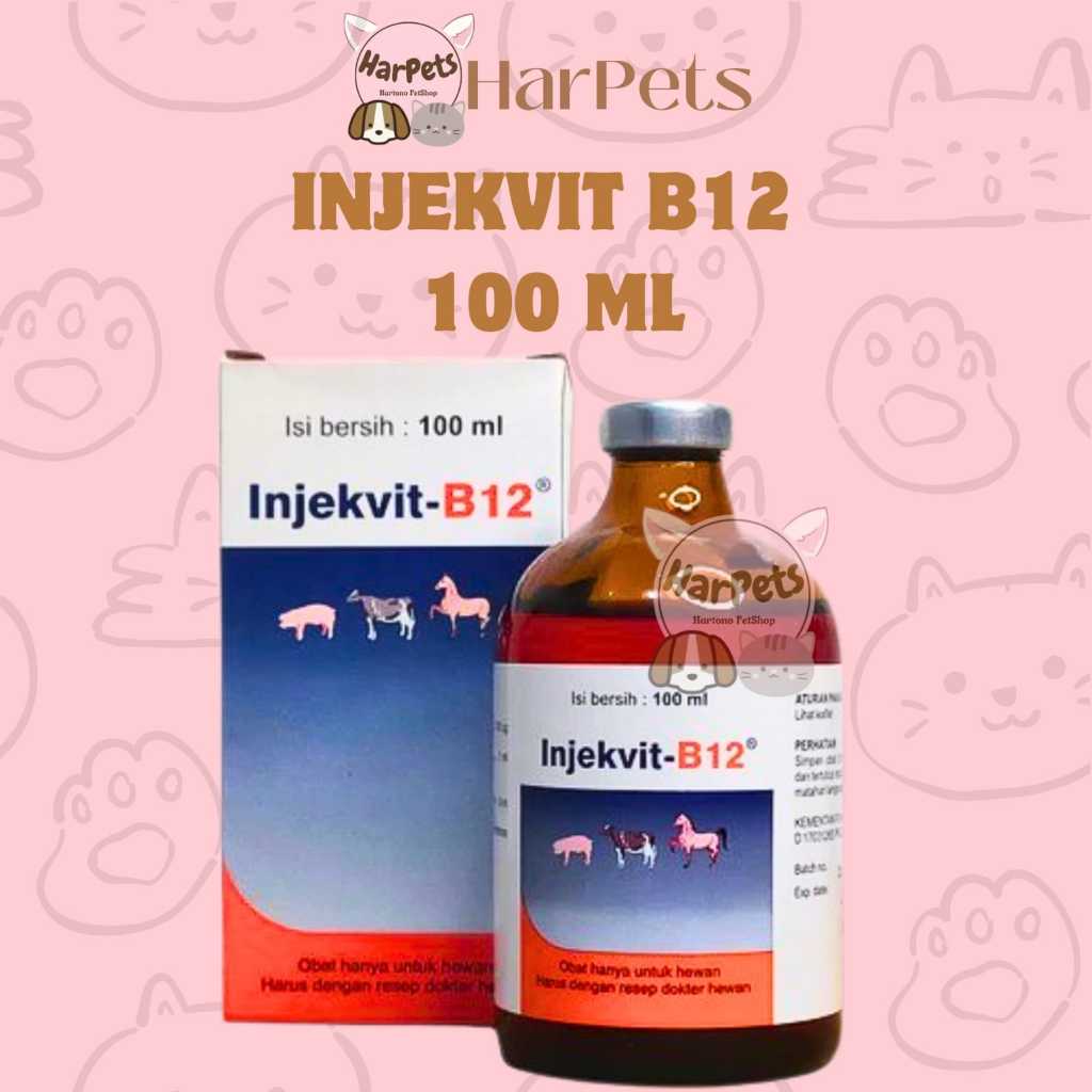 INJEKVIT B12 100 ml - Vitamin B12 untuk perbaiki kondisi tubuh, anemia dan tingkatkan nafsu makan he