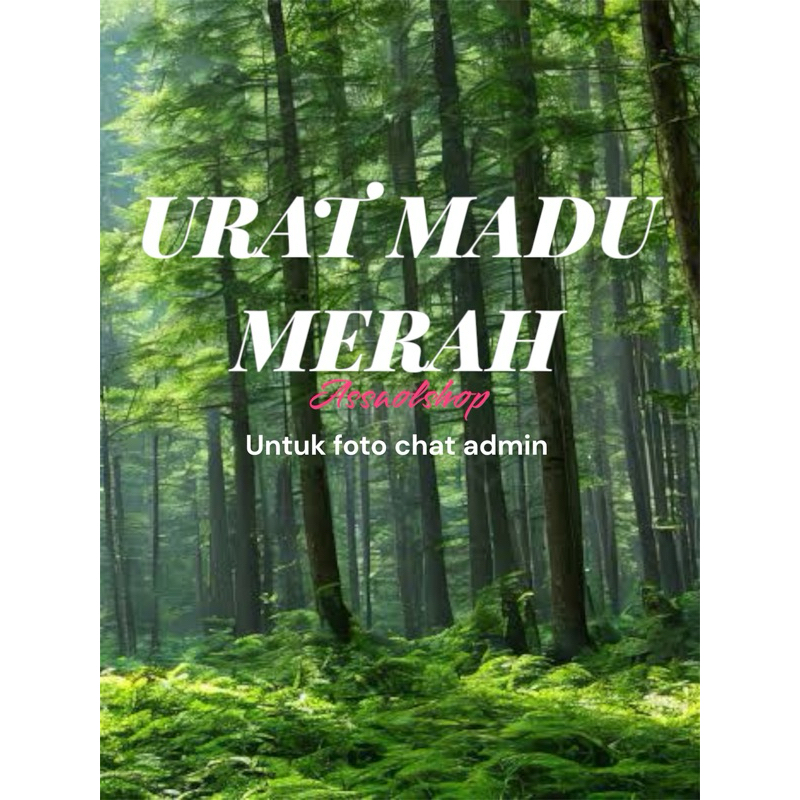 

madu//merah//asli