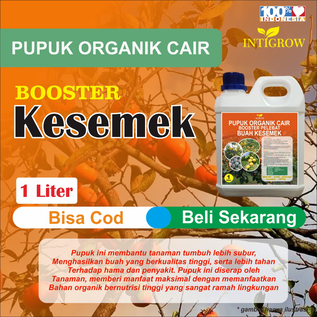 Pupuk Buah Kesemek Pupuk Tanaman Kesemek Pupuk Untuk Buah Kesemek Penyubur Pelebat