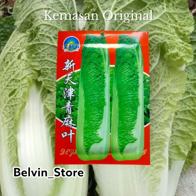 5gram benih sawi putih panjang import [kemasan pabrik]