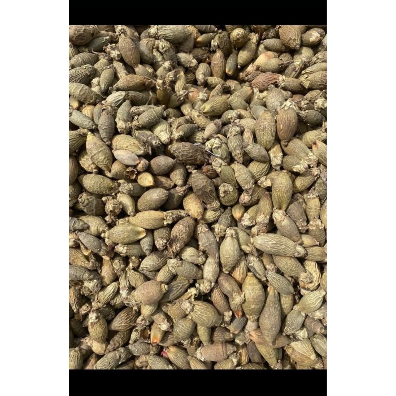 Pineung Nyen Salee | Pinang Muda Bakar | Pnang  Jambe 1 kg