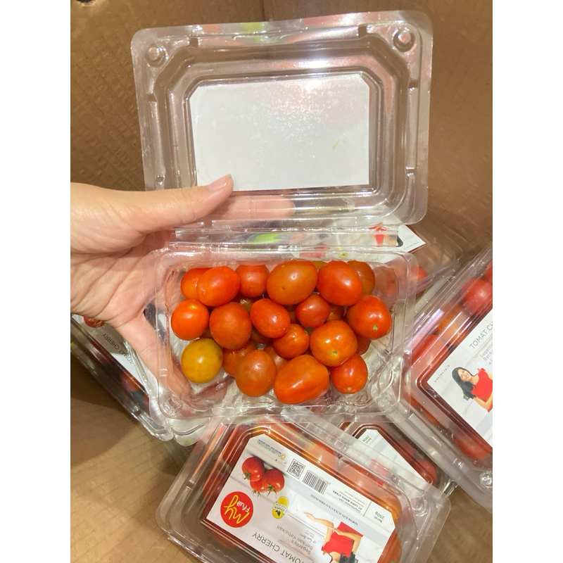 

red cherry tomato buah tomat cherry organic myfruit tomat ceri