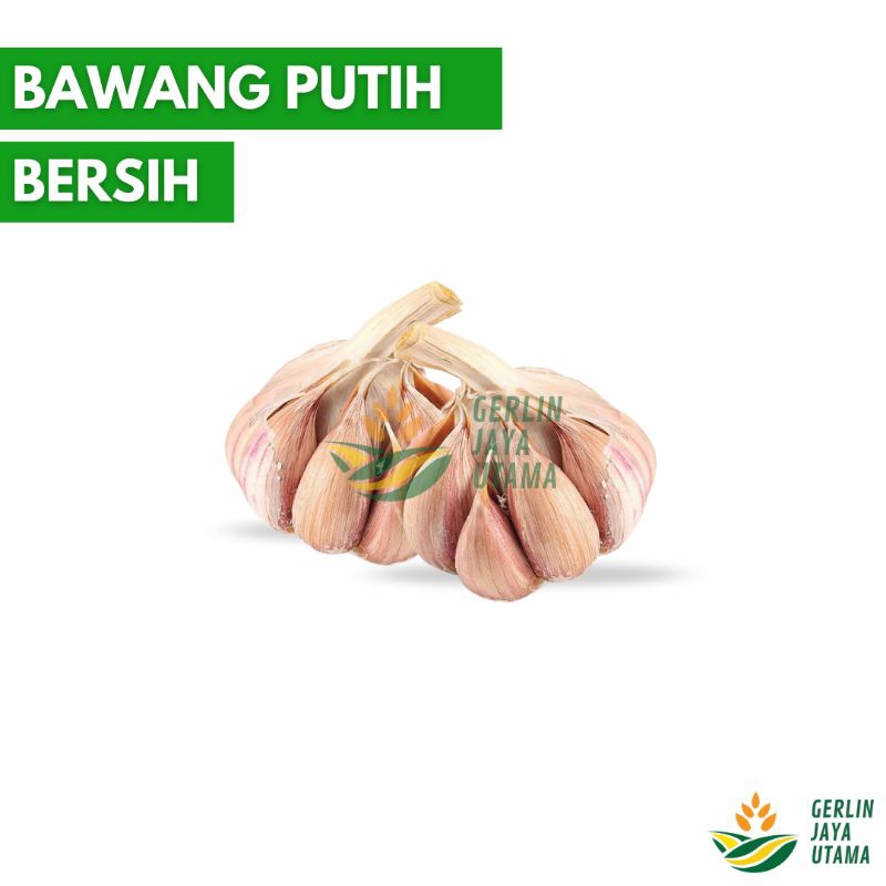 

(1kg/500gram/250gram) Bawang Putih Bersihan (Bukan Kating) / White Garlic Sayuran Segar Fresh Vegetables Kebutuhan Masakan Kitchen Dapur Bumbu Penyedal Pelengkap Rasa Import Lokal Besar Goreng Sekilogram Setengah Kota Malang Premium Termurah Promosi Super