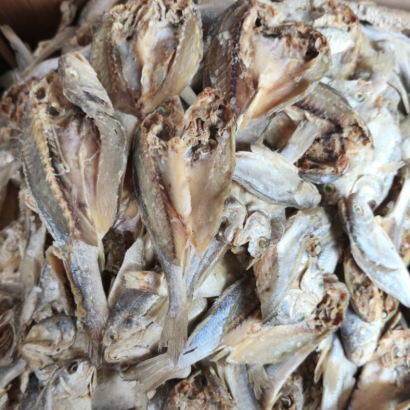 

IKAN BADER GERABAH/BADER PUTIH ASIN