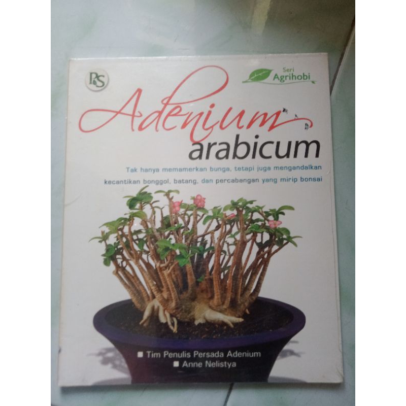 Buku bunga adenium arabicum
