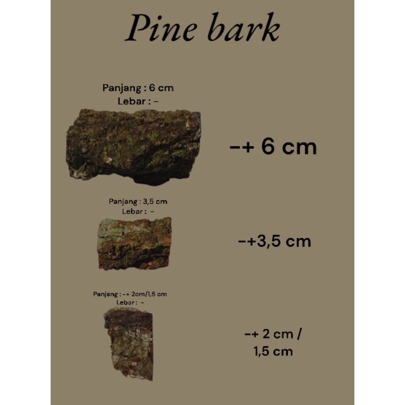 Media tanam kulit pinus, Pine Bark, Media tanam bunga anggrek.