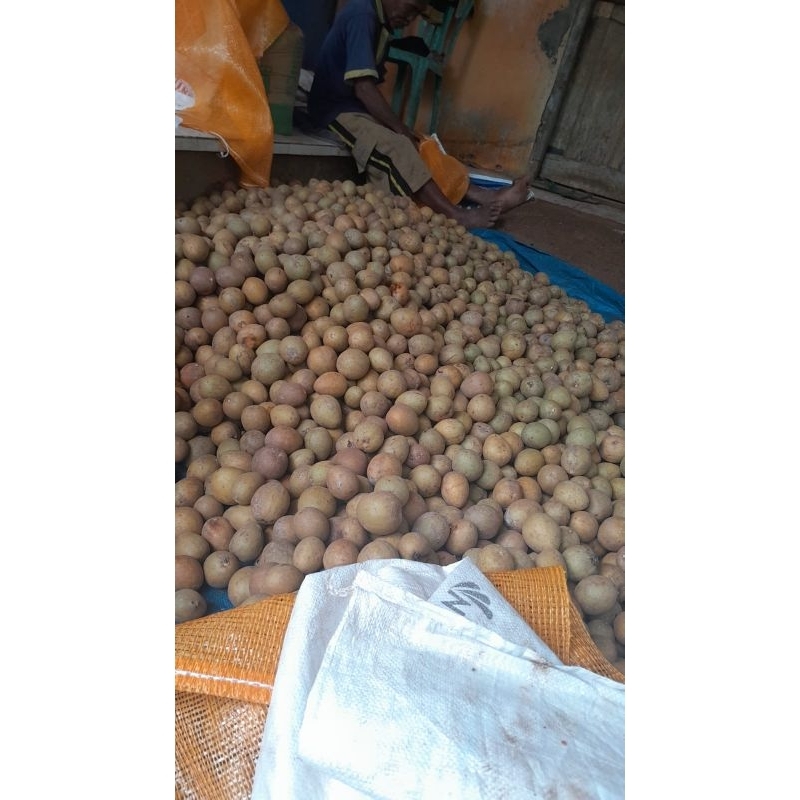 

1 kg buah sawo asli Pangandaran