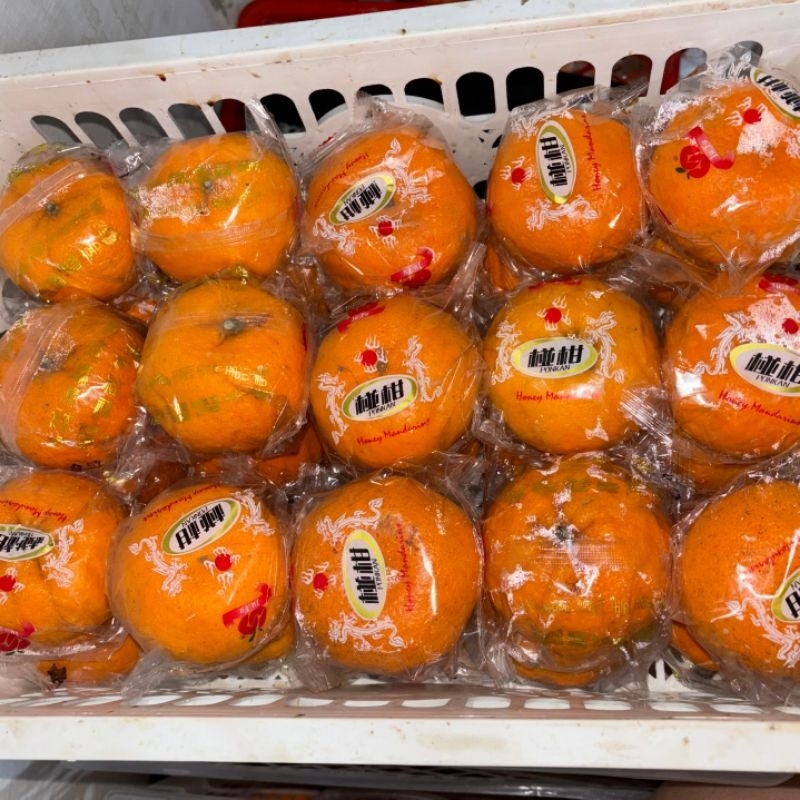 

1 Kg Jeruk Ponkam ( Manis )