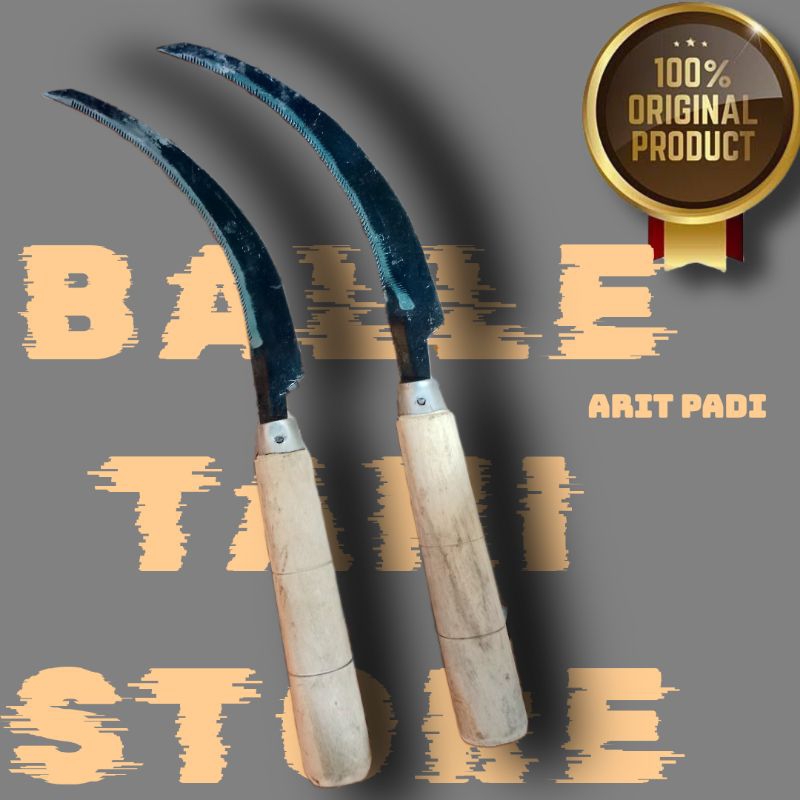 ARIT PADI