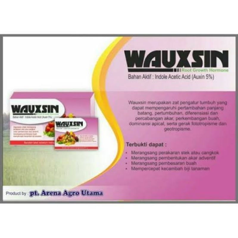 WAUXSIN 2 gram kemasan pabrik