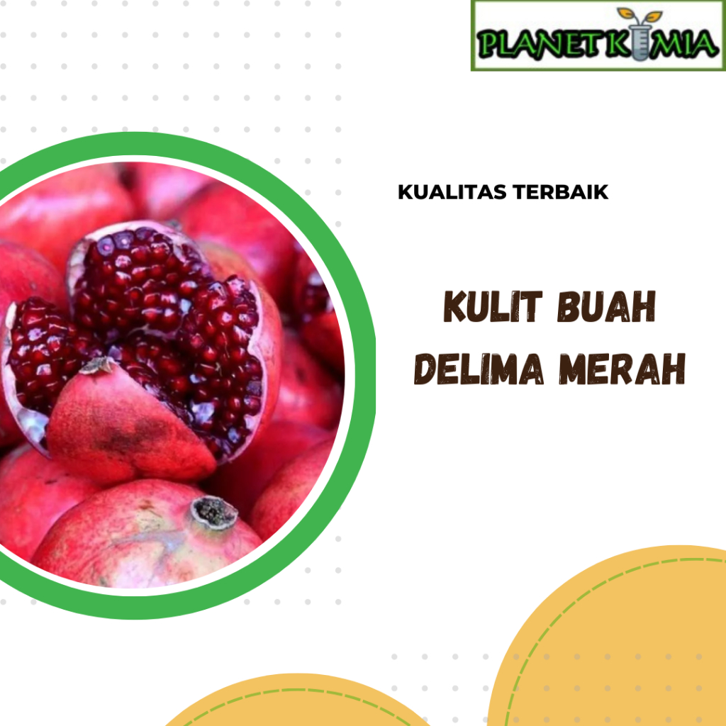 

ekstrak buah delima merah best product