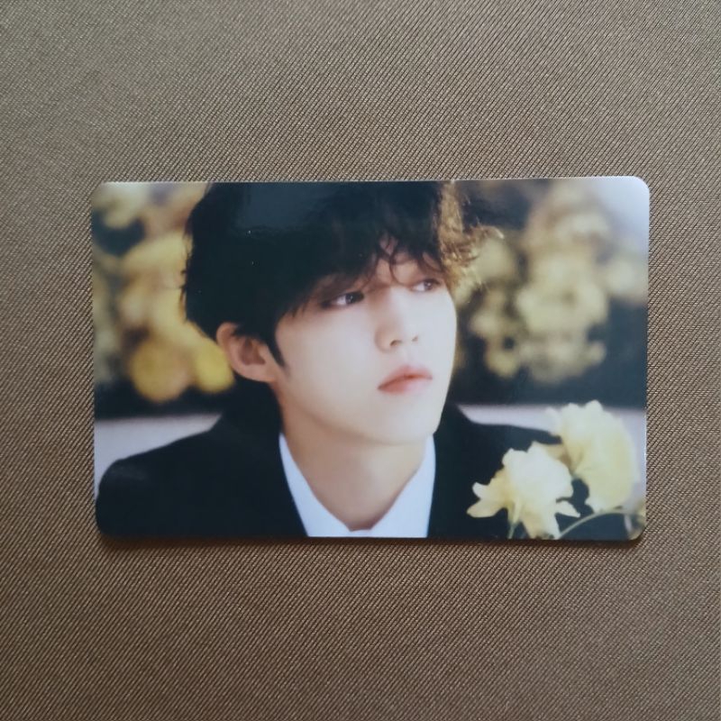 scoups FML seventeen photocard