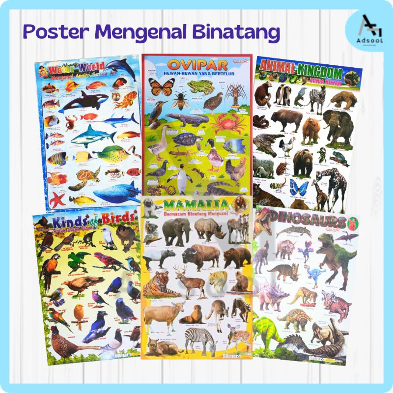 Poster Edukasi Anak Lengkap Belajar Gambar Dinding Estetik Aneka Hewan Buas Jinak Omnivora Karnivora