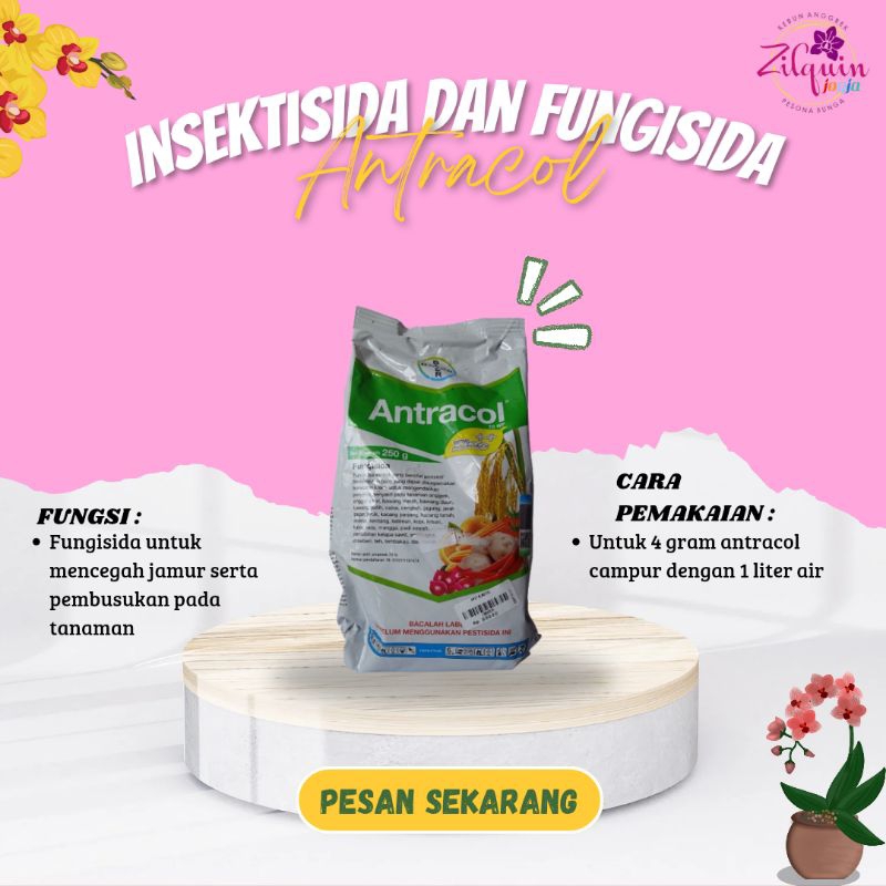 Antracol ( Fungisida )