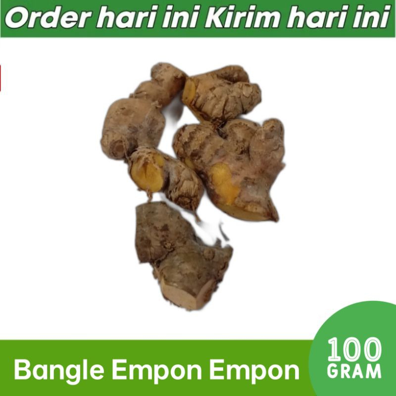 

BANGLE EMPON EMPON REMPAH RIMPANG 100 GRAM