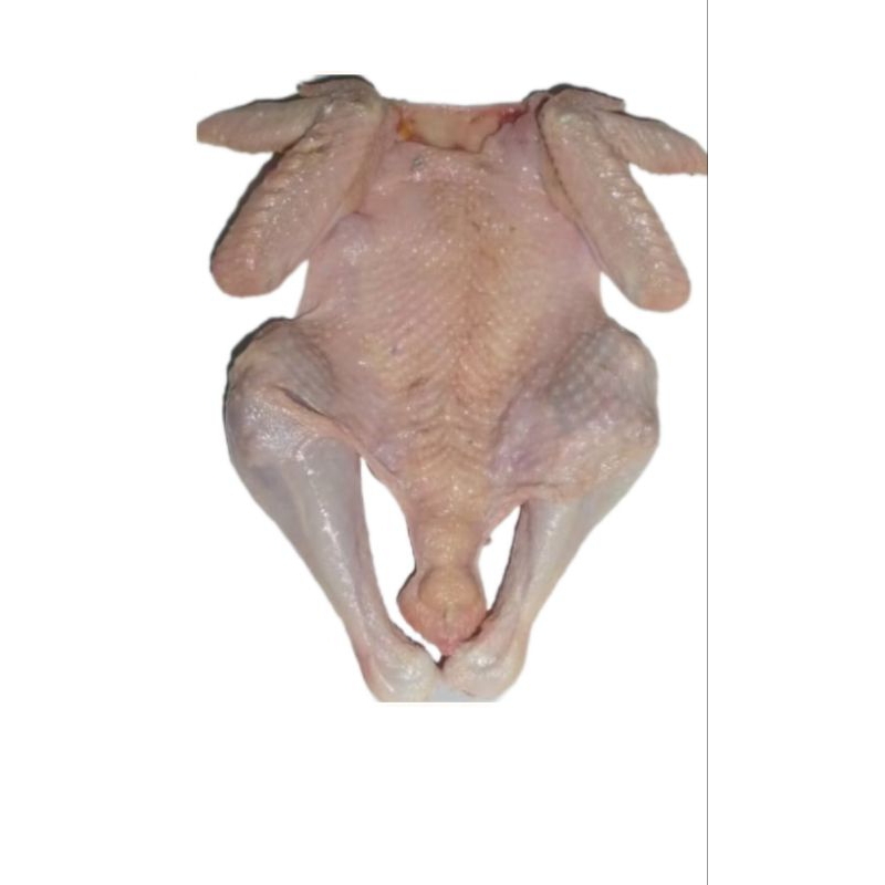 

Kulit Ayam Kodok