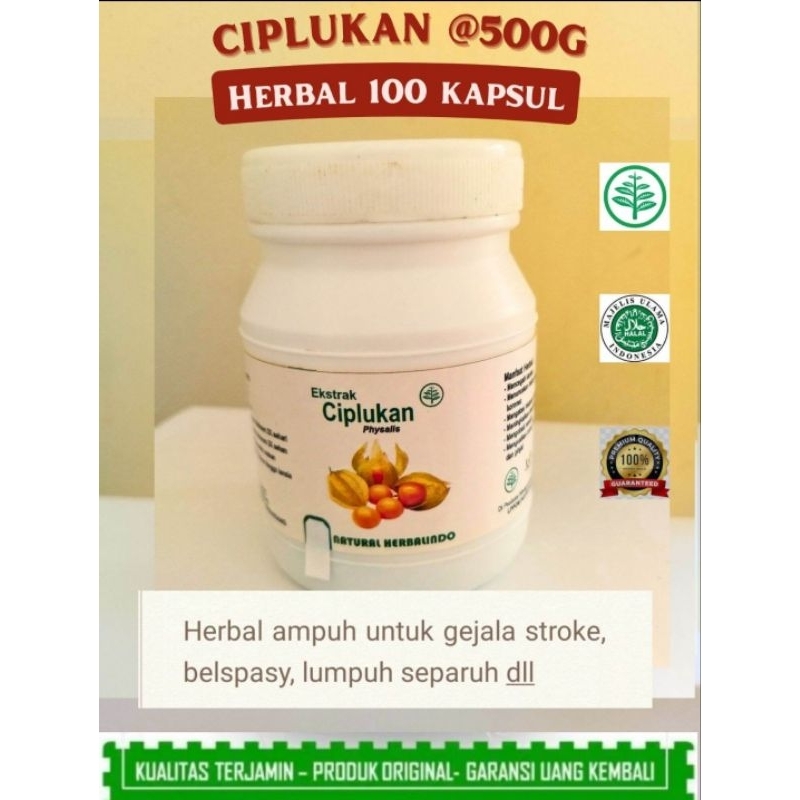 Obat Stroke ampuh, gangguan saraf, penyumbatan pangkal otak herbal CIPLUKAN 100 Kapsul