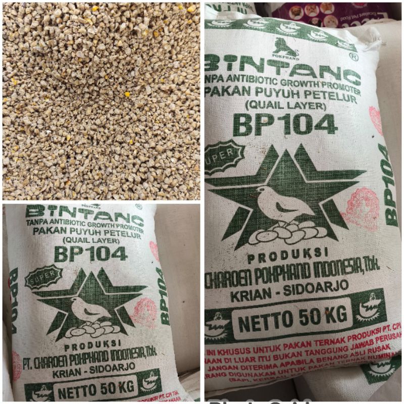 BP104 pakan Pur puyuh petelur puyuh layer 20kg