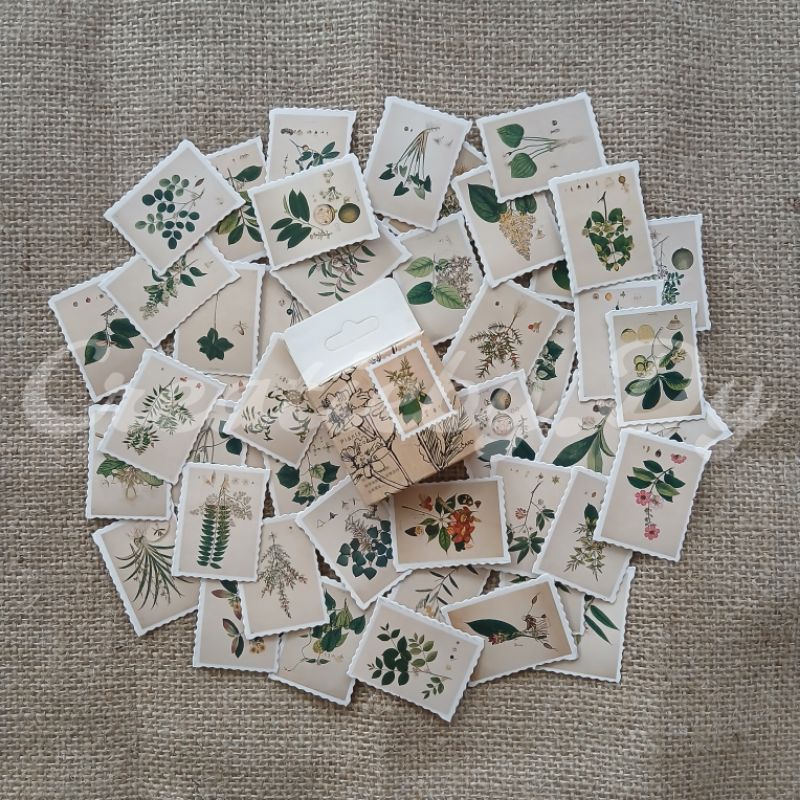 

5 PCS Stiker Vintage Motif Bunga / Tanaman / Plant Stickers Dekorasi Jurnal / Diary